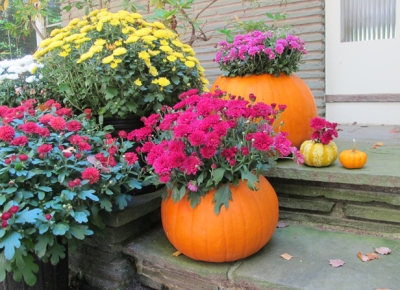 DIY Pumpkin Planters
